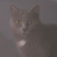 "Лучше быть мягким снаружи и твёрдым внутри".