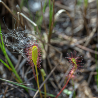 Когда шампунь с кондиционером..