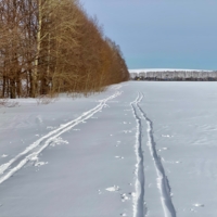 По мягкому полю …