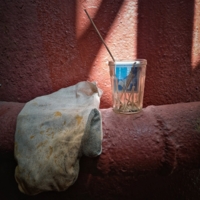 Помощник, собутыльник