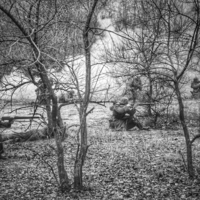 Горе еще не сбылося! Событие зрит и безумный!