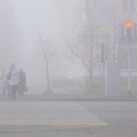 В густом тумане городском