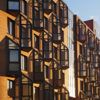 Форма, линии, тень...