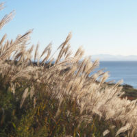 Приветствуем рассвет