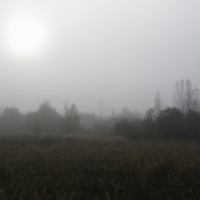 Туманный рассвет