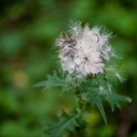 Осторожно, очень мягко!