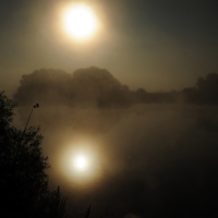 Тишина на берегу реки