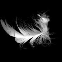 Мягкость пера...