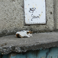 Мягкое на жестком