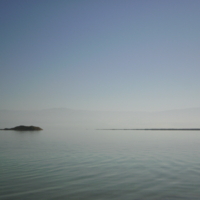 Туманный берег