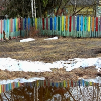 радуга доморощенная