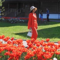 Тюльпаны от ,,Dior"