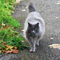 Мягче не бывает