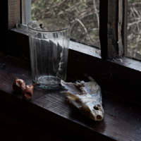 Дела давно минувших дней