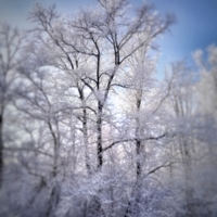 В свежем морозном воздухе