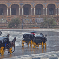 "Такси" уехали