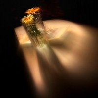 Ну, полетели!)