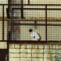 Жесткая конструкция в клеточку