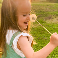 Летние радости