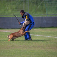 Жёсткая хватка