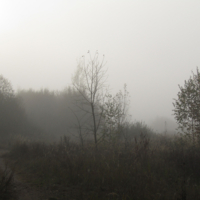 Утренняя мгла