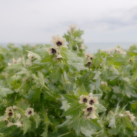 Мягко стелет, да жёстко спать