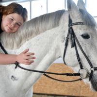 Уткнуться в мягкую лошадку...