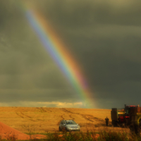 В поле собран урожай