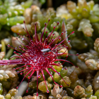 Мягко стелет , да жестко спать..