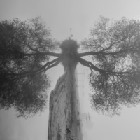 Привиделось...