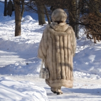 Если вы пушисты и мягки -