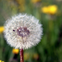 На мягкой постели...