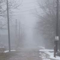 На дороге люди