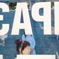 В окне автобуса