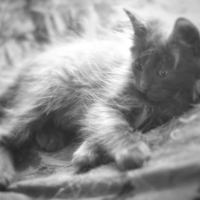 Детство Саны