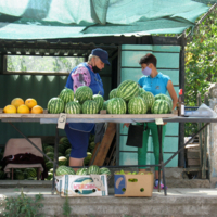 Продаем арбузики