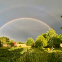 Перед грозой