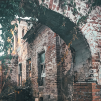 В плену у плюща