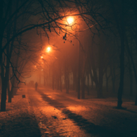 В старом парке