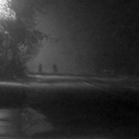 Двое в ночном тумане