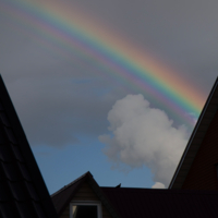 Над крышами