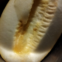 спелая