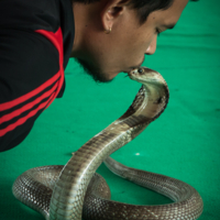 Экстремальная работа