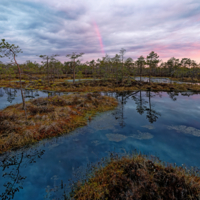 Малиновый фреш