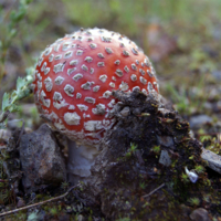 Кто здесь жёстче...