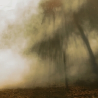 сквозь дымовую завесу