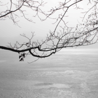 Там за туманами