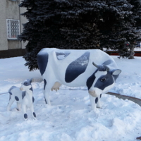 " - Да чё-то вымя у тебя жёсткое!"