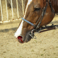 Ради ЛюдСКоЙ ЗаБАвЫ
