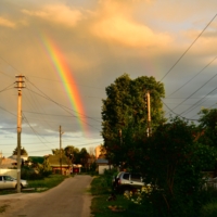 Запуталась в проводах
